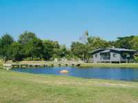 Chong Mafueng Camping  -ช่องมะเฟือง แคมป์ปิ้ง