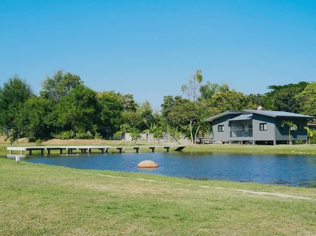 Chong Mafueng Camping  -ช่องมะเฟือง แคมป์ปิ้ง