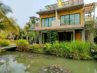 ที่พักอัมพวา น้องหมาพักได้ ตอนเช้ามีใส่บาตรริมน้ำ