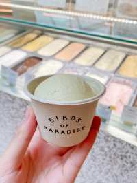 《新加坡世一Gelato雪糕🍨｜開心果特別口味💚》