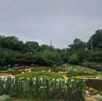 韓國景點📸峨嵯山生態公園😊親親大自然體驗日🌤