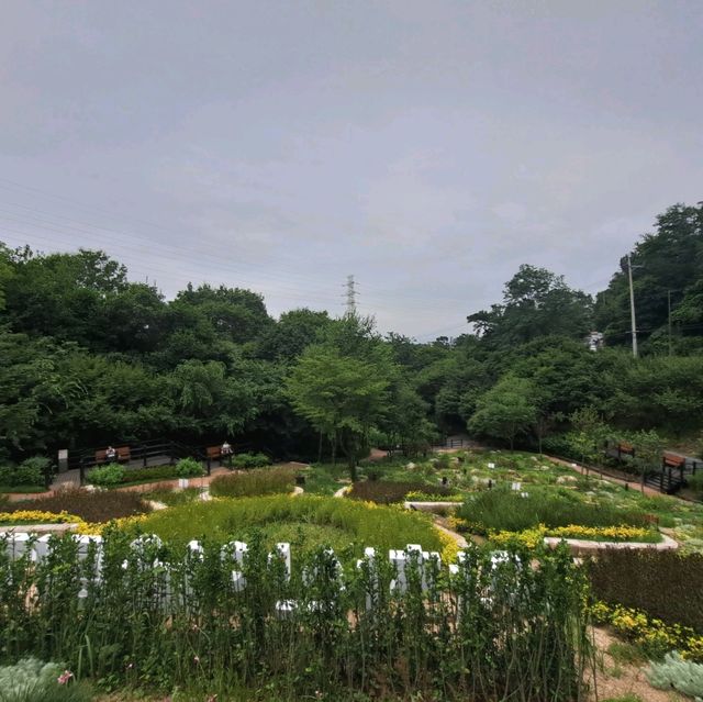 韓國景點📸峨嵯山生態公園😊親親大自然體驗日🌤