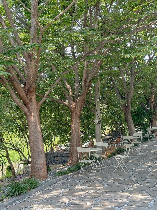 제주 감성 가득했던 담양 카페 추천🍃💚