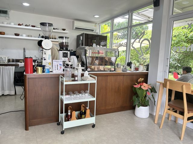 Seven rabbits coffee & tea