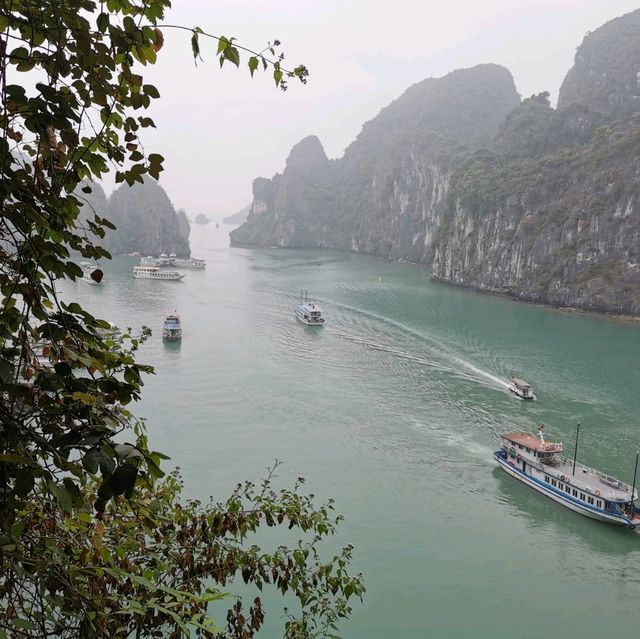 🛳 The Halong Bay Cruise Experience