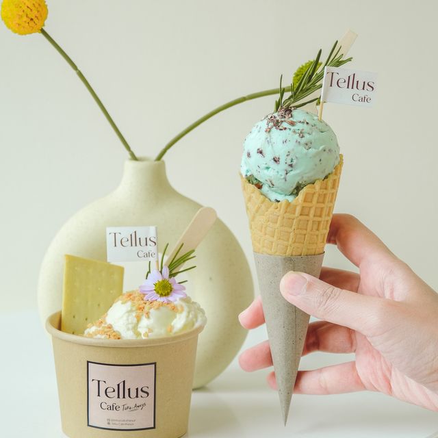 Tellus คาเฟ่สุดคิ้ว วิวป่าสน ที่เขาใหญ่