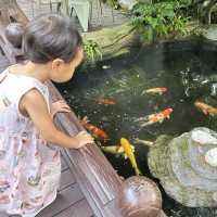 คาเฟ่เป็ดสำหรับเด็กๆ บรรยากาศชนะเลิศ