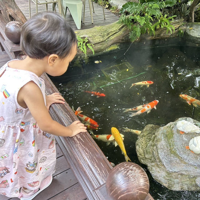 คาเฟ่เป็ดสำหรับเด็กๆ บรรยากาศชนะเลิศ
