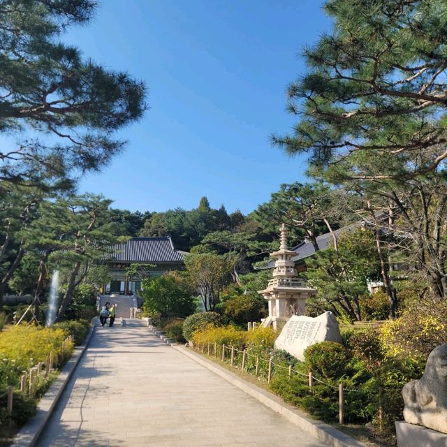 경기도여행 수원 광교에 숨겨져 있는 예쁜 절 봉녕사