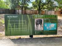 Houston Zoo 🐘✨