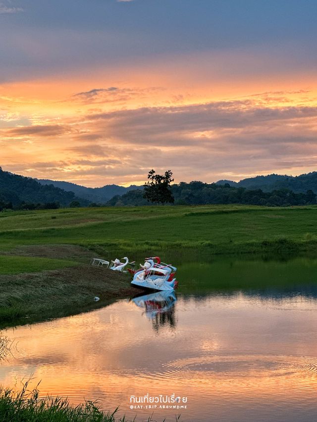 🌱One Day Trip ที่ไร่สิงห์ปาร์ค เชียงราย