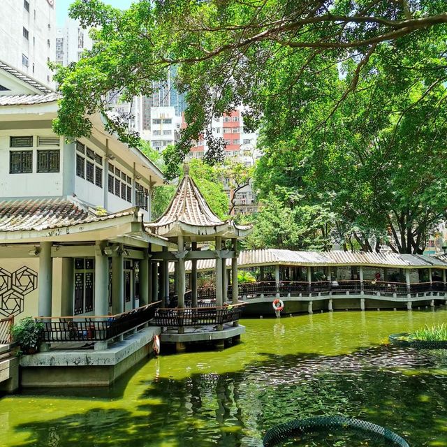 荃灣賽馬會德華公園🏯🌳秋意的寧靜與美麗😍🌺！