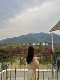 단풍놀이하기 예쁜 카페 덕천418