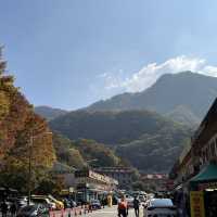 The Place with Eternal Autumn Foilage!