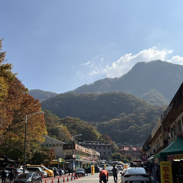 The Place with Eternal Autumn Foilage!