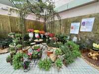 香港公園 — 球根植物展覽