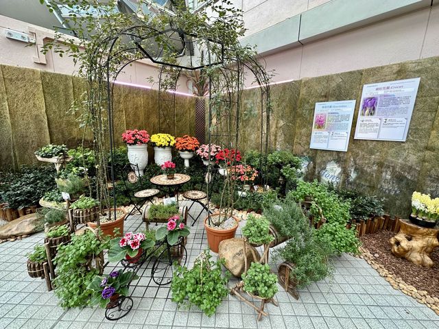香港公園 — 球根植物展覽