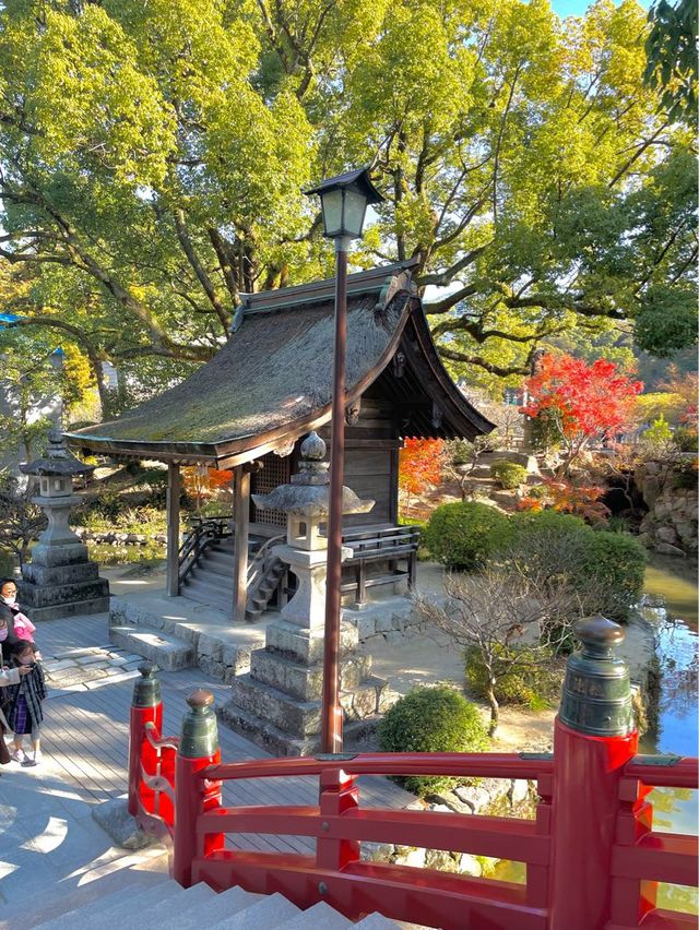 신사에서 여유로움 느껴보기 "다자이후 텐만구"⛩