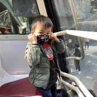 《超值Bigbus開蓬巴士遊+山頂纜車🚠旅行團🎒，$160包食點心餐+開蓬巴士遊+遊覽香港公園+來回山頂纜車連凌霄閣摩天台428入場券🎟️》