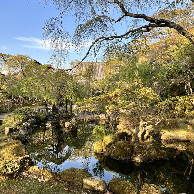 【奈良】吉野山で古き良き泊まれる宿
