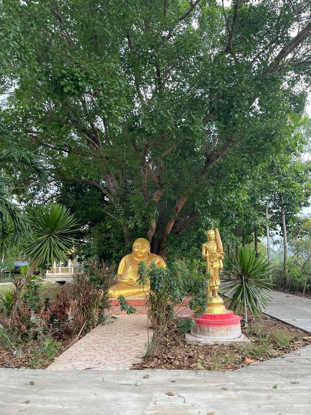 วัดผารังหมีวนาราม (ถ้ำพระนอน)