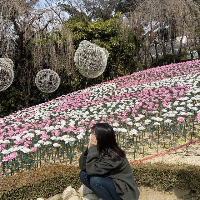 대구 아이와 함께 가볼만한 곳, 이월드 