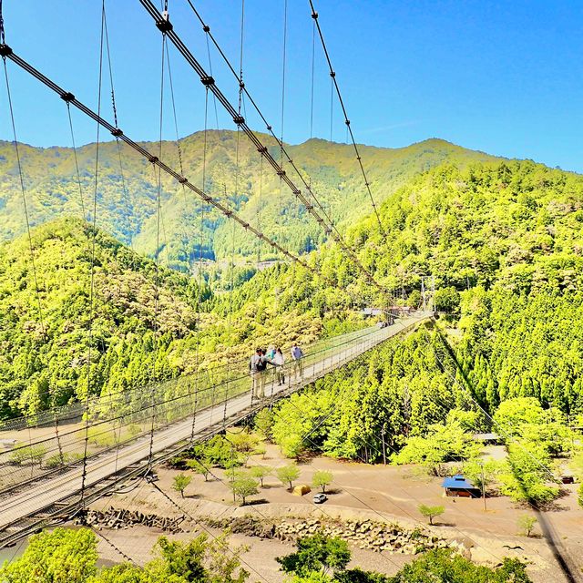 谷瀬の吊り橋