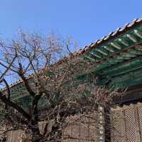 자장율사가 창건한 삼보사찰 중 불보사찰인, 양산 통도사