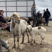 동물을 사고 파는 일요일 가축 시장인 Livestock Bazar 🇰🇬