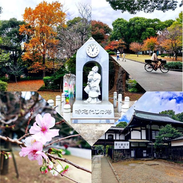 Relaxing Stroll at Ueno Park