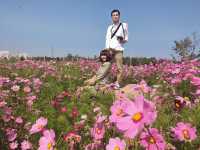  สวนดอกไม้กลางหุบเขา ในถิ่นอีสาน