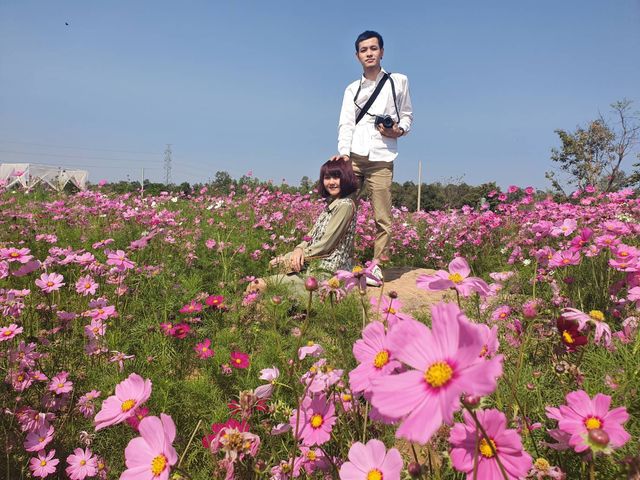  สวนดอกไม้กลางหุบเขา ในถิ่นอีสาน