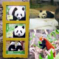 Fun Time at Hong Kong Ocean Park
