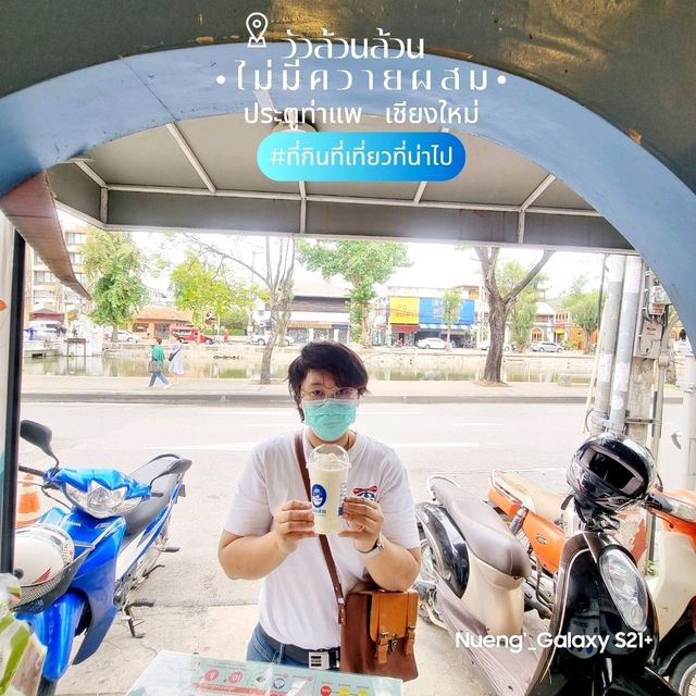 วัวล้วนล้วน[ไม่มีควายผสม]คาเฟ่นมท่าแพ - เชียงใหม่
