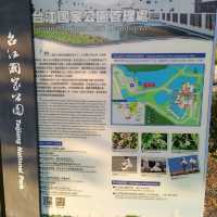 台南超推景點 台江國家公園 怎麼拍都好看