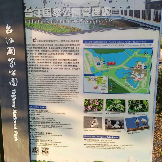 台南超推景點 台江國家公園 怎麼拍都好看