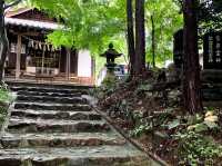 เดินป่าสำรวจอุทยานธรรมชาติ บนภูเขา🌳🏕️
