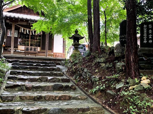 เดินป่าสำรวจอุทยานธรรมชาติ บนภูเขา🌳🏕️