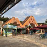 深圳野生動物園🐈‍⬛🐈‍⬛