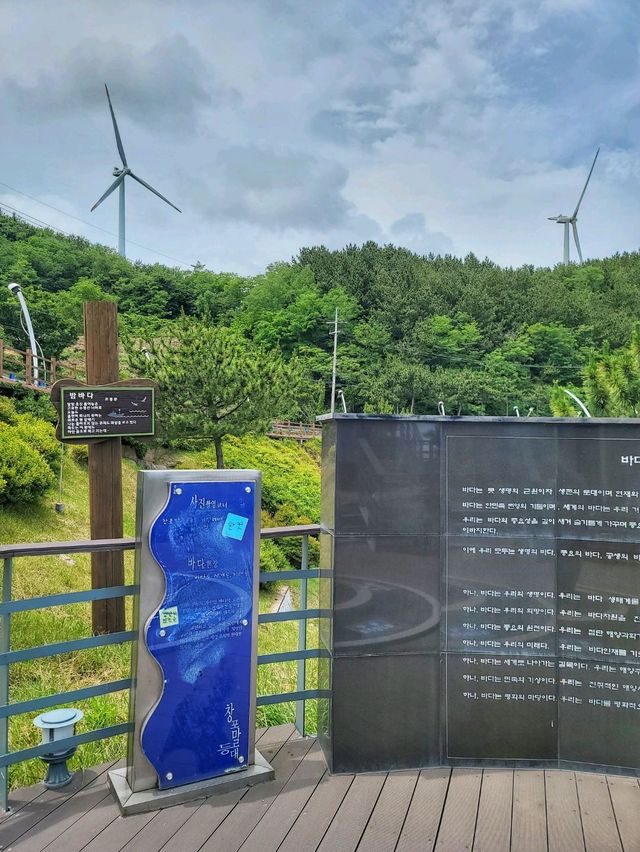 영덕 블루로드 따라 해맞이공원까지🩵