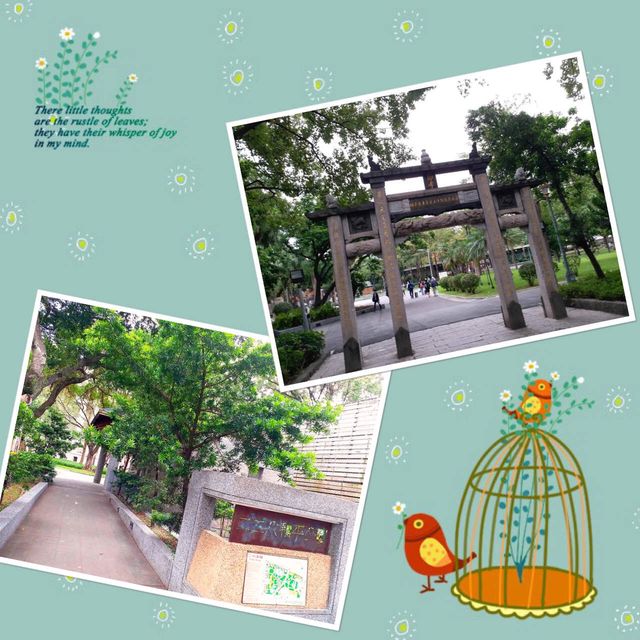 台北車站公園游🌹🥰