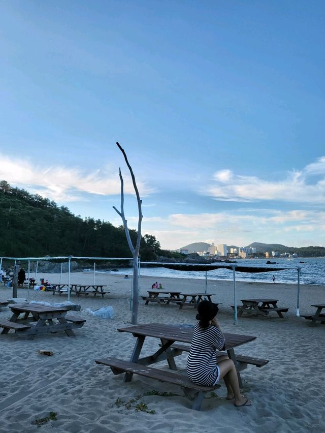 조용하고 한적한 프라이빗 비치 솔개해수욕장🏖