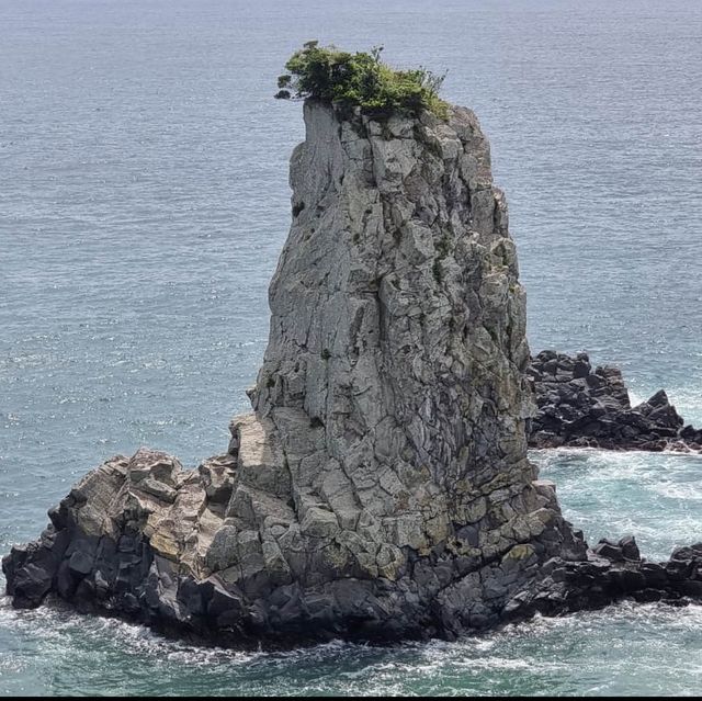 🌊 홀로 우뚝 솟은 서귀포 해안을 지키는 외돌개 ! 