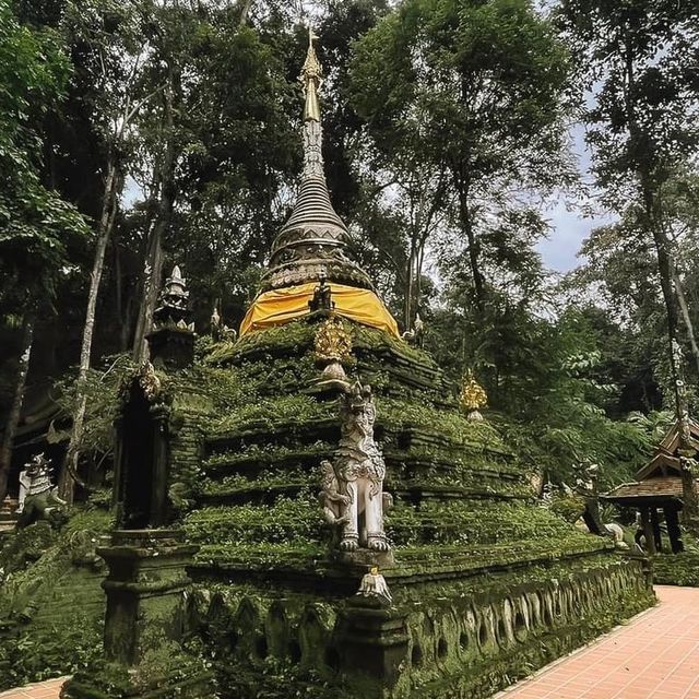 Chiang Mai City 