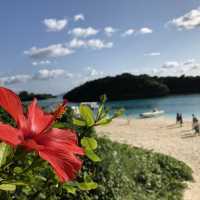 【沖縄】石垣島の絶景スポット「川平湾」