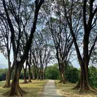 Picnic by the lake | Cyberjaya 🌳