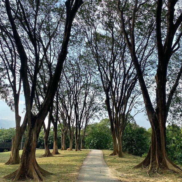 Picnic by the lake | Cyberjaya 🌳