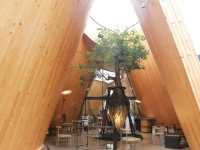 Harudot Chonburi by Nana Coffee Roasters