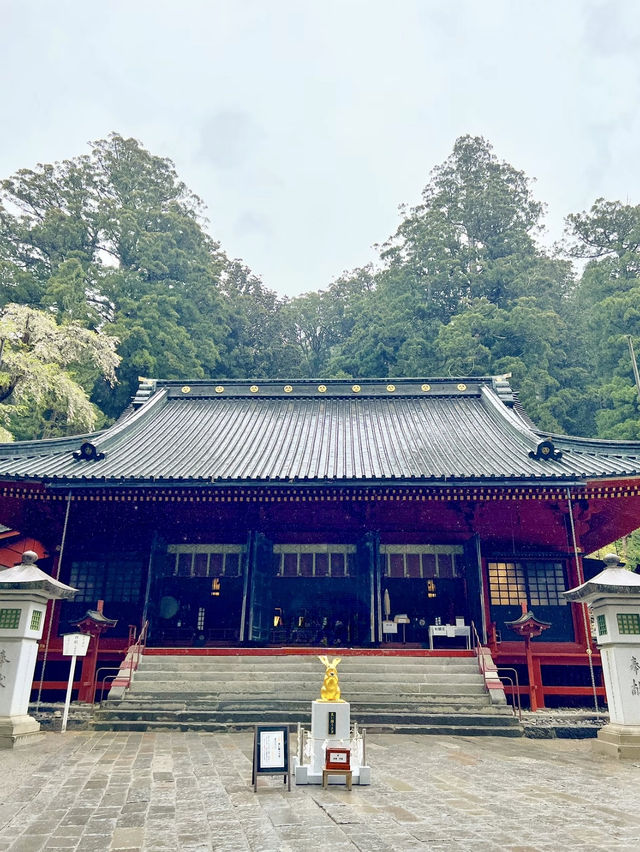 【日光】強力パワースポット　日光二荒山神社
