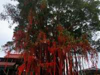 Popular Attraction in Malaysia